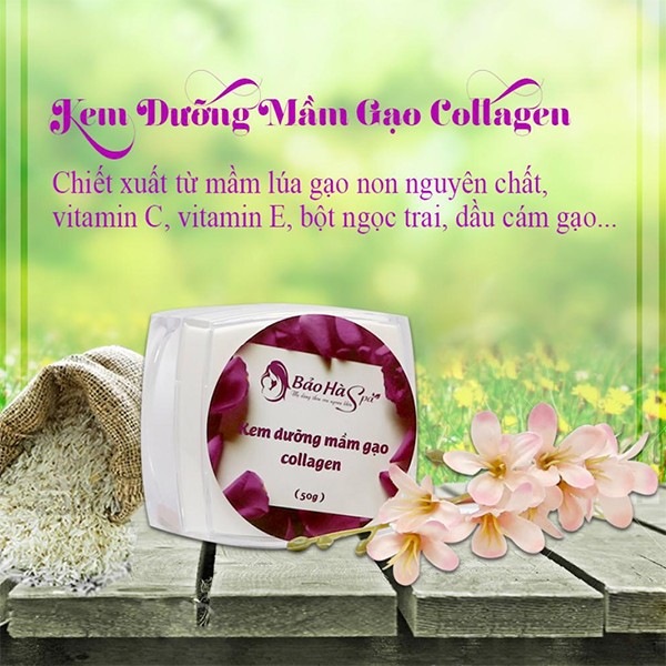 Kem mầm gạo Collagen Bảo Hà (50 gram)